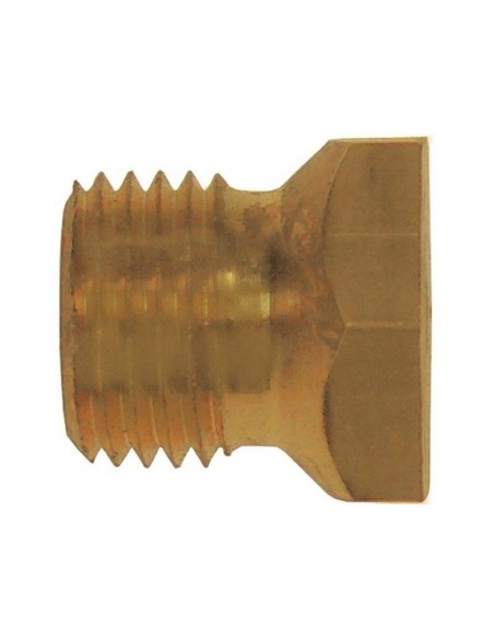 Gas injector ANGELO-PO,  M10x1 WS 12 bore ø 2,4mm