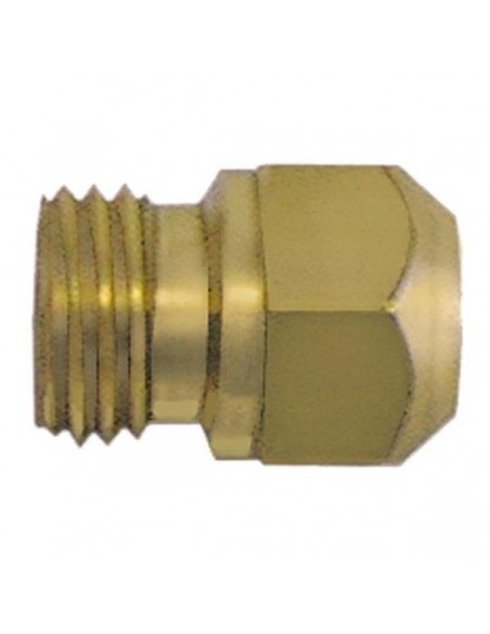 Gas injector Repagas, Silko thread M9x1 WS 10 bore diameter 1,35 mm