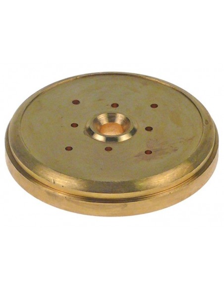 Nuova Simonelli water shower ø 57.4 mm H 9.5 mm 8 holes hole ø 2 mm brass