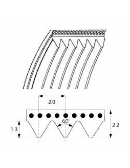 Poly-v belt MEGADYNE TB2 310mm grooves 5