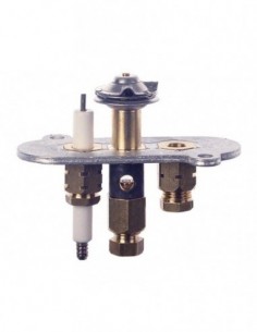 Pilot burner 2 flames natural gas code 14 right gas line...